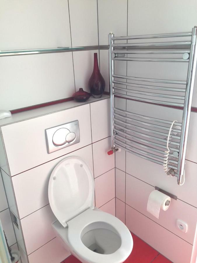 Krasny Apartman U Lesa, Trolejbus Do Centra A Bvv, Parkovani Zdarma Μπρνο Εξωτερικό φωτογραφία